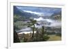 Pine with a View-Phillip Mueller-Framed Giclee Print