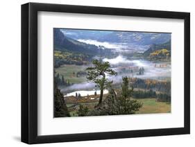 Pine with a View-Phillip Mueller-Framed Art Print