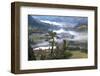 Pine with a View-Phillip Mueller-Framed Art Print