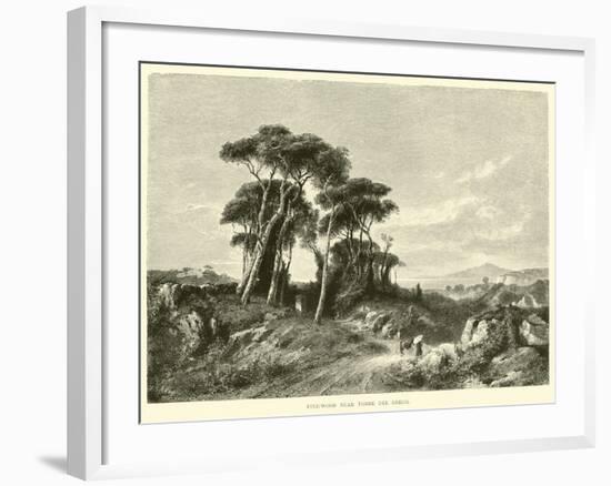 Pine-Wood Near Torre Del Greco-null-Framed Giclee Print