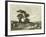 Pine-Wood Near Torre Del Greco-null-Framed Giclee Print