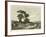Pine-Wood Near Torre Del Greco-null-Framed Giclee Print