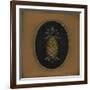 Pineapple 04-Barbara Jeffords-Framed Art Print