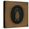 Pineapple 04-Barbara Jeffords-Stretched Canvas