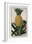 Pineapple, 1772-1784-null-Framed Giclee Print