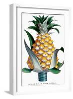 Pineapple, 1789-null-Framed Giclee Print