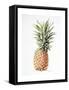 Pineapple, 1997-Alison Cooper-Framed Stretched Canvas