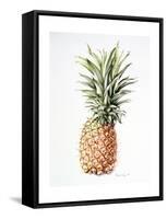 Pineapple, 1997-Alison Cooper-Framed Stretched Canvas