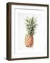 Pineapple, 1997-Alison Cooper-Framed Giclee Print