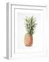 Pineapple, 1997-Alison Cooper-Framed Giclee Print