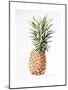 Pineapple, 1997-Alison Cooper-Mounted Giclee Print