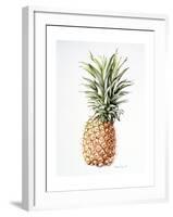 Pineapple, 1997-Alison Cooper-Framed Giclee Print