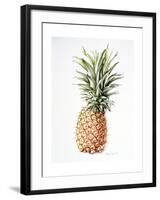 Pineapple, 1997-Alison Cooper-Framed Giclee Print