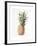 Pineapple, 1997-Alison Cooper-Framed Giclee Print