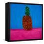 Pineapple,1998,(oil on linen)-Cristina Rodriguez-Framed Stretched Canvas
