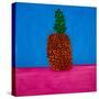 Pineapple,1998,(oil on linen)-Cristina Rodriguez-Stretched Canvas