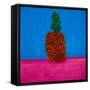 Pineapple,1998,(oil on linen)-Cristina Rodriguez-Framed Stretched Canvas