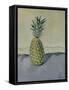 Pineapple, 2005-Raimonda Kasparaviciene Jatkeviciute-Framed Stretched Canvas