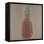 Pineapple, 2012-Lincoln Seligman-Framed Stretched Canvas