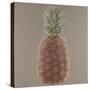 Pineapple, 2012-Lincoln Seligman-Stretched Canvas