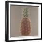 Pineapple, 2012-Lincoln Seligman-Framed Giclee Print