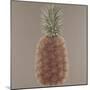 Pineapple, 2012-Lincoln Seligman-Mounted Giclee Print