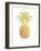 Pineapple 4-Ikonolexi-Framed Art Print