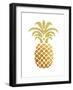 Pineapple 4-Ikonolexi-Framed Art Print