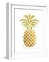 Pineapple 4-Ikonolexi-Framed Art Print