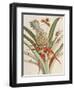 Pineapple (Ananas) with Surinam Insects-Maria Sibylla Merian-Framed Giclee Print