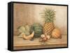 Pineapple and Orchid-Pamela Gladding-Framed Stretched Canvas