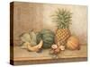Pineapple and Orchid-Pamela Gladding-Stretched Canvas