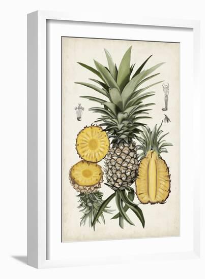 Pineapple Botanical Study I-Naomi McCavitt-Framed Art Print