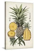 Pineapple Botanical Study I-Naomi McCavitt-Stretched Canvas