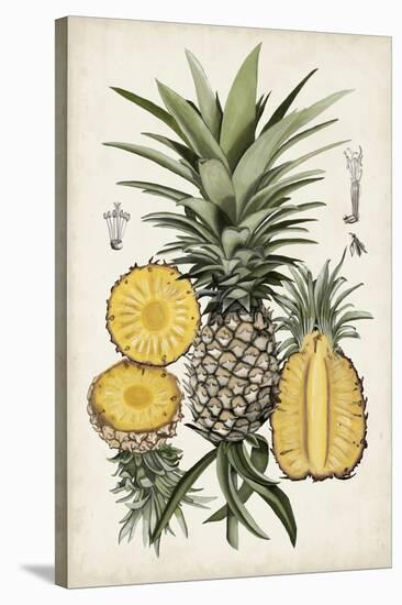 Pineapple Botanical Study I-Naomi McCavitt-Stretched Canvas