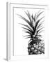 Pineapple (BW)-Lexie Greer-Framed Photographic Print