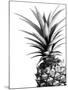 Pineapple (BW)-Lexie Greer-Mounted Photographic Print