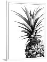 Pineapple (BW)-Lexie Greer-Framed Photographic Print