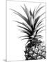 Pineapple (BW)-Lexie Greer-Mounted Photographic Print