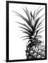 Pineapple (BW)-Lexie Greer-Framed Photographic Print