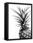 Pineapple (BW)-Lexie Greer-Framed Stretched Canvas