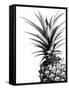 Pineapple (BW)-Lexie Greer-Framed Stretched Canvas