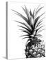 Pineapple (BW)-Lexie Greer-Stretched Canvas