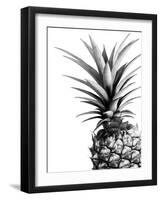 Pineapple (BW)-Lexie Greer-Framed Photographic Print