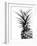 Pineapple (BW)-Lexie Greer-Framed Photographic Print