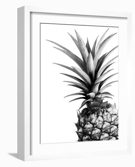 Pineapple (BW)-Lexie Greer-Framed Photographic Print
