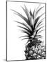 Pineapple (BW)-Lexie Greer-Mounted Photographic Print