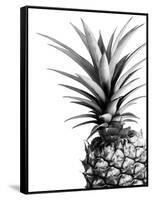 Pineapple (BW)-Lexie Greer-Framed Stretched Canvas