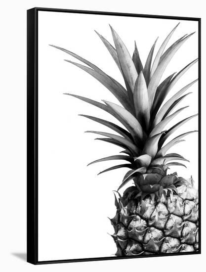 Pineapple (BW)-Lexie Greer-Framed Stretched Canvas