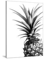 Pineapple (BW)-Lexie Greer-Stretched Canvas